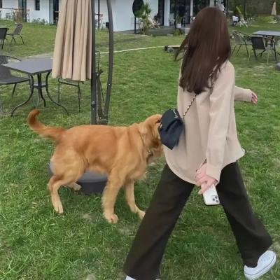 美味小姐与爆笑先生